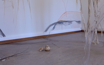 Fin de résidence SAFFCA