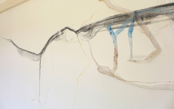 Fin de résidence SAFFCA