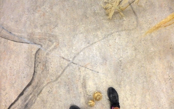 Fin de résidence SAFFCA