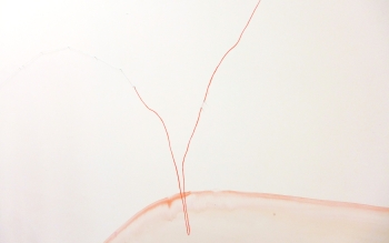 Fin de résidence SAFFCA