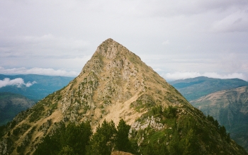 Mont