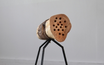 Nid d'abeilles